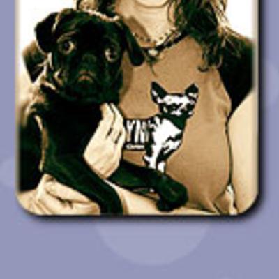 Episode 138: Dealing with Phobias and Anxiety in Dogs
