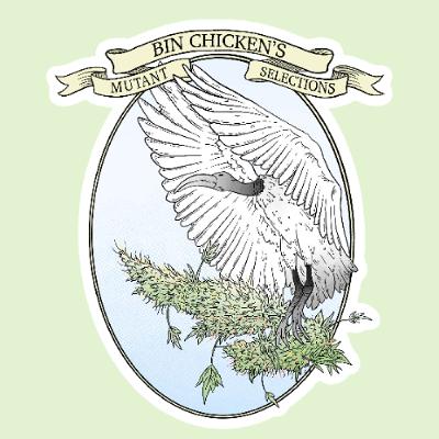 Episode 104 ft Bin Chicken