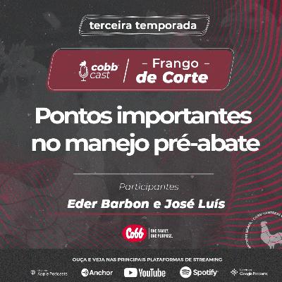 #06 Pontos importantes no manejo pré-abate