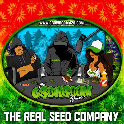 The Real Seed Company Interview - A Growroom420 Podcast
