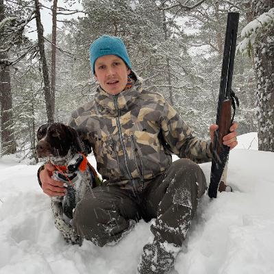 Elg-fall og tiur-bom