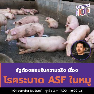 รัฐต้องยอมรับความจริง เรื่องโรคระบาด ASF ในหมู
