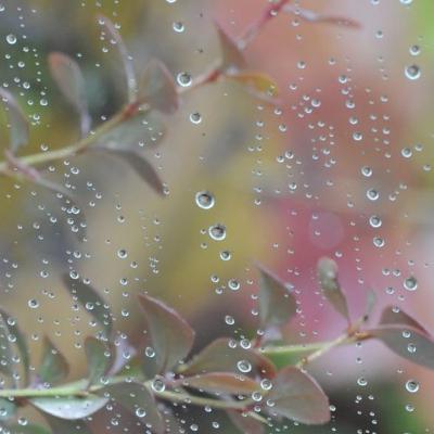 Mati Rasa; Bersabarlah Mati Rasa; Bersabarlah