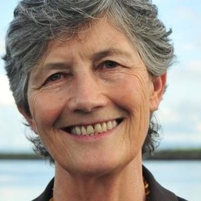 The presidential race: Sinn Féin backs Catherine Conolly