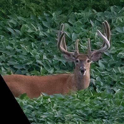 #39 - Pre-Season Wrap | It's time to SHIFT your priorities...