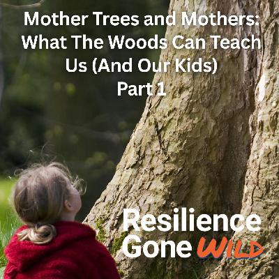 The Wood Wide Web: Mother Trees and the Hidden Science of Resilience, Part 1