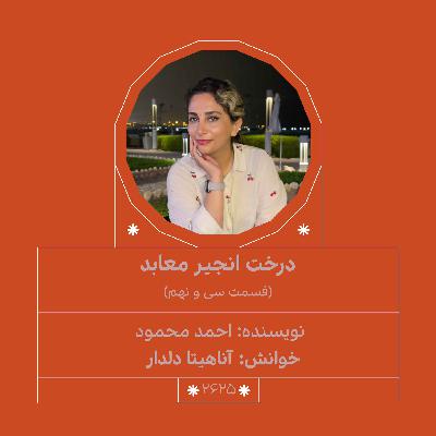 2625.درخت انجیر معابر (قسمت سی و نهم) 2625.درخت انجیر معابر (قسمت سی و نهم)