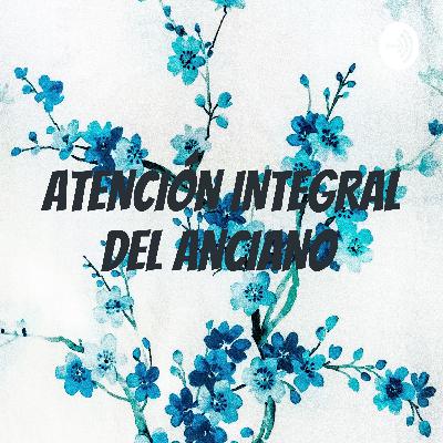 atención integral del anciano atención integral del anciano
