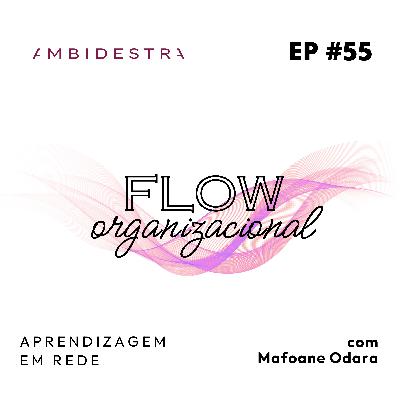 #55 FLOW ORGANIZACIONAL: Aprendizagem em Rede