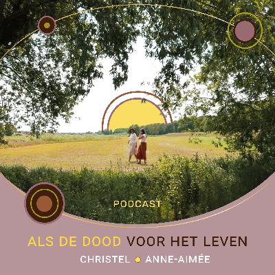 11. Je bent 26 jaar oud en ongeneeslijk ziek