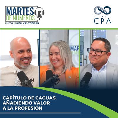 Capítulo de Caguas: Añadiendo valor a la profesión