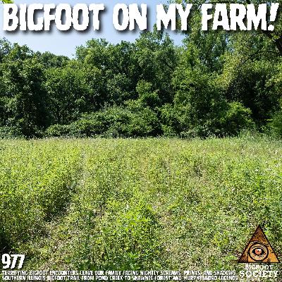 Sasquatch Stalks Southern Illinois Farm Delivering Terrifying Close-Range Encounters! Sasquatch Stalks Southern Illinois Farm Delivering Terrifying Close-Range Encounters!