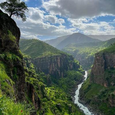 موسیقی بیکلام | نوا بی کلام