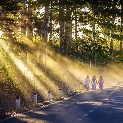 Living In The Light!