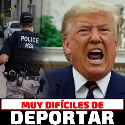 NBC: Donald Trump está furioso por las pocas deportaciones y exige más a #ice #deportaciones