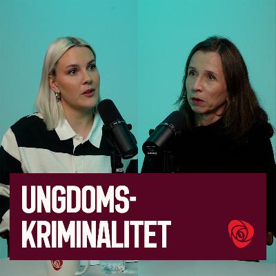 Ungdomskriminalitet | Justisminister Astri Aas-Hansen