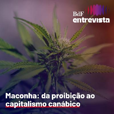 #388 - Maconha: da proibição ao capitalismo canábico | BdF Entrevista Paulo Pereira #388 - Maconha: da proibição ao capitalismo canábico | BdF Entrevista Paulo Pereira