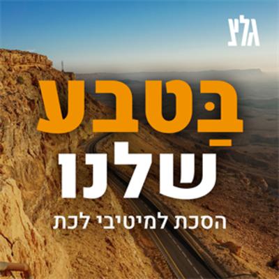 פרק 3 : הדּוֹלְמֵנִים בישראל