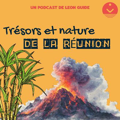 La vanille : de la liane à l'assiette