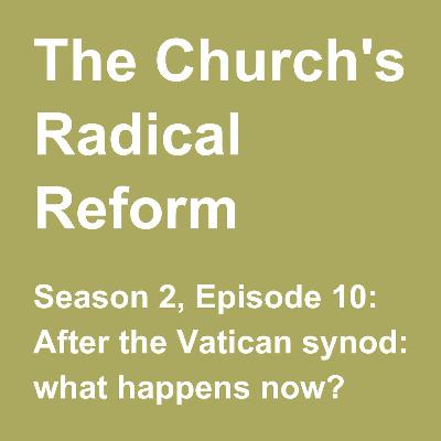 After the Vatican synod: what happens now?
