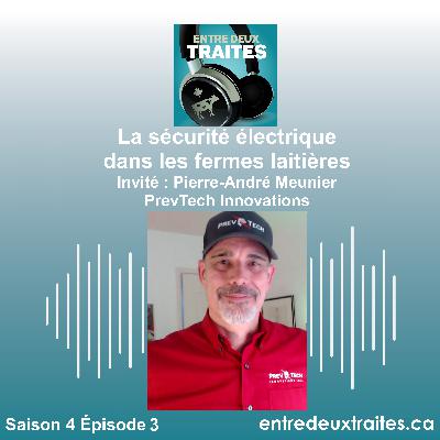 La sécurité électrique dans les fermes laitières.