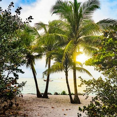 Episode 1582 - Jarvis Kingston Oregon Indiana College Football Playoff Peach Bowl NFL Playoffs Wild Card AFCON Mali Senegal Immigration News
