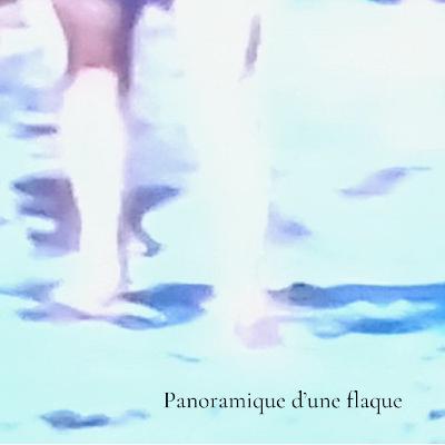 Panoramique d'une flaque