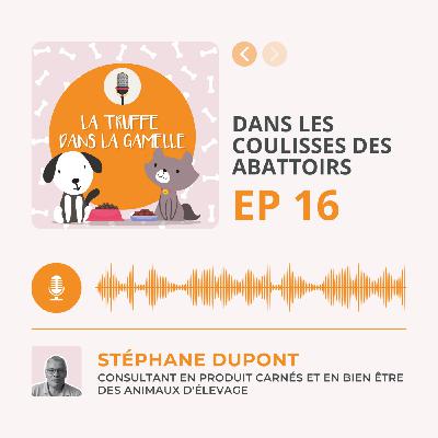 Dans les coulisses des abattoirs