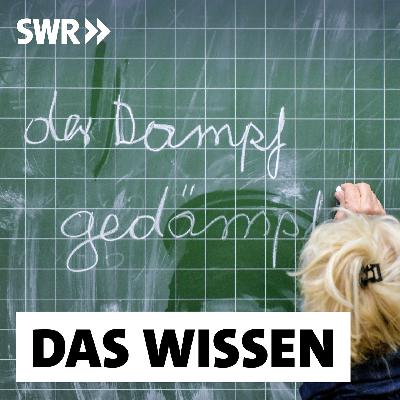 Millionen Analphabeten – Wie Erwachsene richtig lesen und schreiben lernen