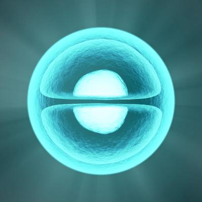 Changing the seeds of our Cells