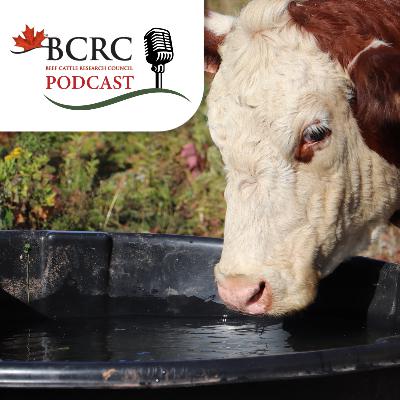 Episode 112: Innovative Water Initiatives to Improve Herd Health