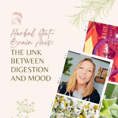 Herbal Gut-Brain Axis: The Link Between Digestion and Mood