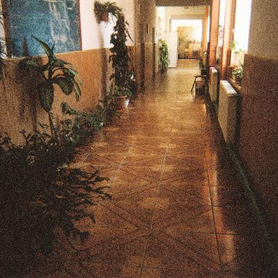 Episodul 3 - Prețul educației