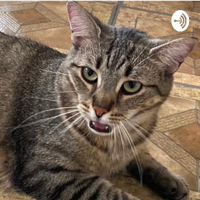 Seasons Greetings & Grocery Eating