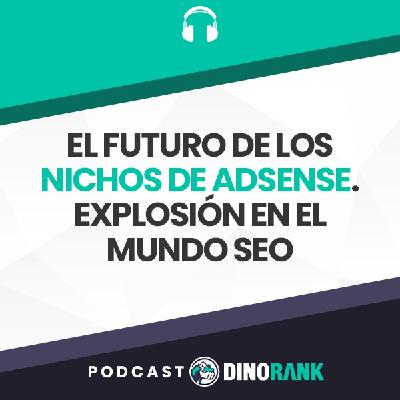 El futuro de los nichos Adsense. Explosión en el mundo SEO