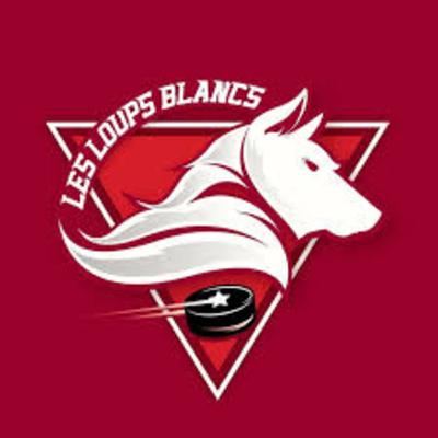 Les Loups Blancs - Club de Roller Hockey en quart de finale le 18 & 19 avril
