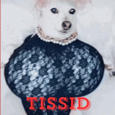 Tissid