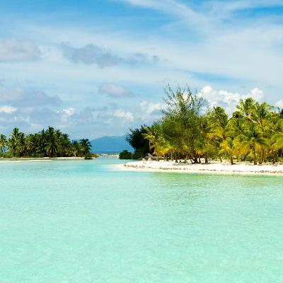 Ep 23- Vacations: Pros and Cons
