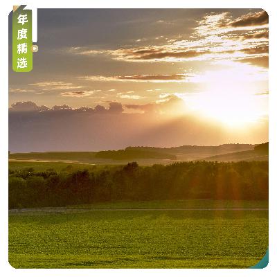 【年度精选】19世纪的浪漫主义回声