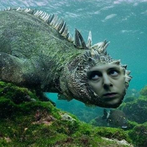"Iguana Pile" How It Could Have Gone with Ryan Cuddihy episode artwork