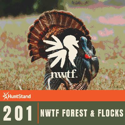 #201 - NWTF Forests and Flocks: Restoring Habitat for Wild Turkeys #201 - NWTF Forests and Flocks: Restoring Habitat for Wild Turkeys