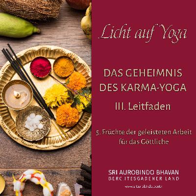 Das Geheimnis des Karma-Yoga (13)