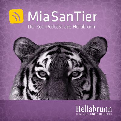 Tierische Schlagzeilen aus Hellabrunn