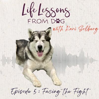 Facing the Fight: How Dogs Handle Conflict (and Why We Should Too)