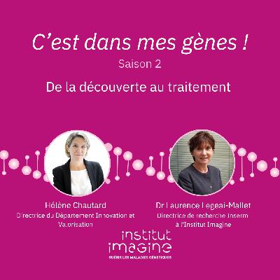 De la découverte au traitement