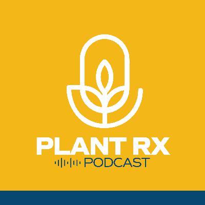 Holiday Plants 101: Poinsettias, Christmas Cactus, Norfolk Island Pine, and Amaryllis Holiday Plants 101: Poinsettias, Christmas Cactus, Norfolk Island Pine, and Amaryllis