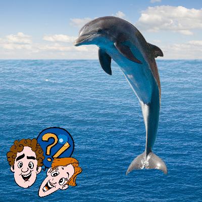 Können schwangere Delfine aus dem Wasser springen?