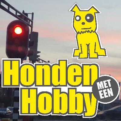 #6: Verkeerslichten en olifantenpaadjes - waarom je(en je hond) soms toch doet, wat niet de bedoeling is.