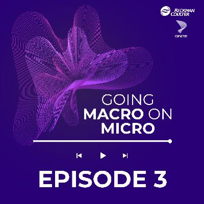 2.3. Diagnostics in Public Health