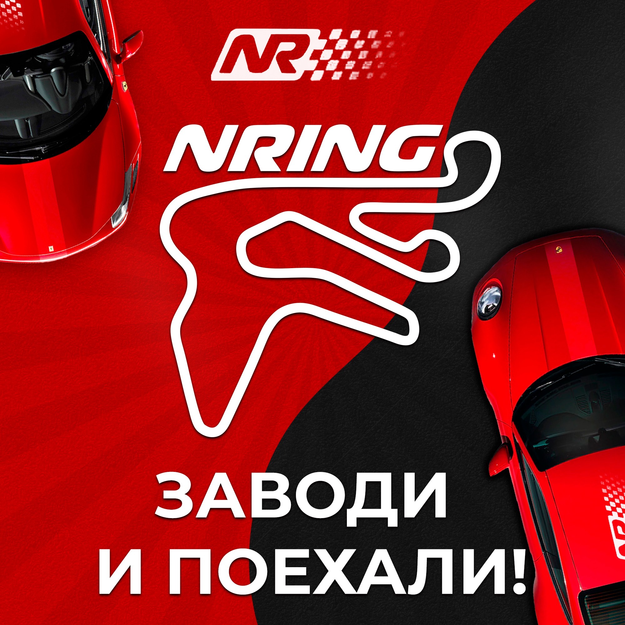 заведи еду. заведи еду. кот поставил лайк. кот на роботе пылесосе. муж водитель прикол.